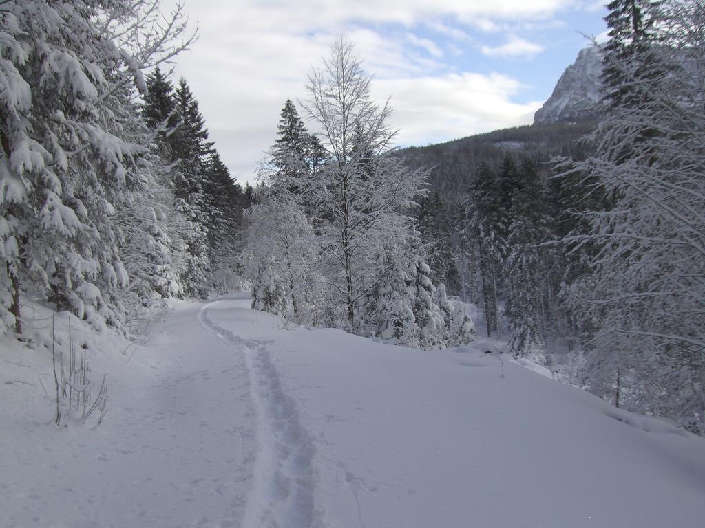 Ferienwohnung Am Roemerweg Wald Inzell Eksteriør billede