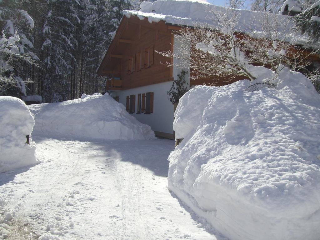 Ferienwohnung Am Roemerweg Wald Inzell Eksteriør billede