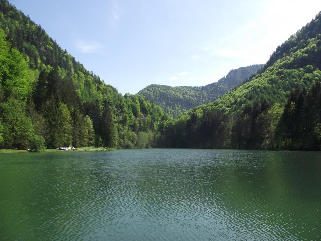 Ferienwohnung Am Roemerweg Wald Inzell Eksteriør billede