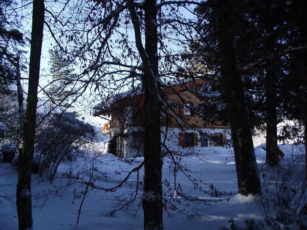 Ferienwohnung Am Roemerweg Wald Inzell Eksteriør billede